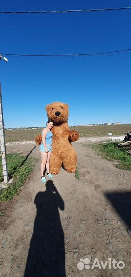 Аэромедведь