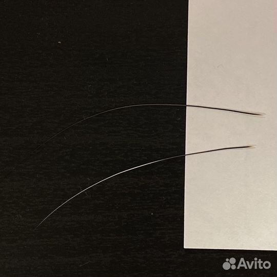 Кошачьи усы, вибриссы