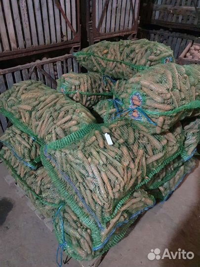 Морковь, картофель на корм животным