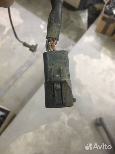 Ремонт Эбу Webasto Eberspacher