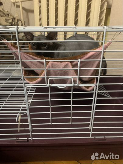 Клетка для кролика хорька шиншилы