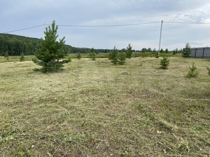 Участок 15 сот. (СНТ, ДНП)