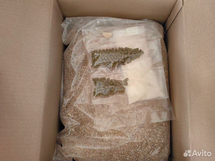 Ферментер конический стальной цкт iBrew 32 л