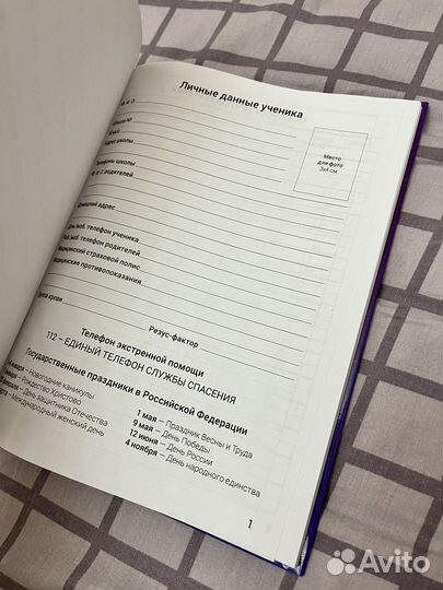 Дневник школьный