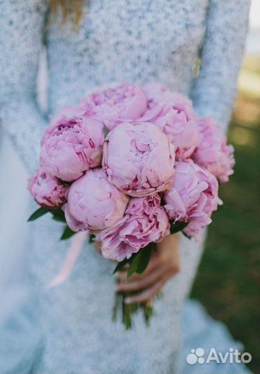 Пионы премиум