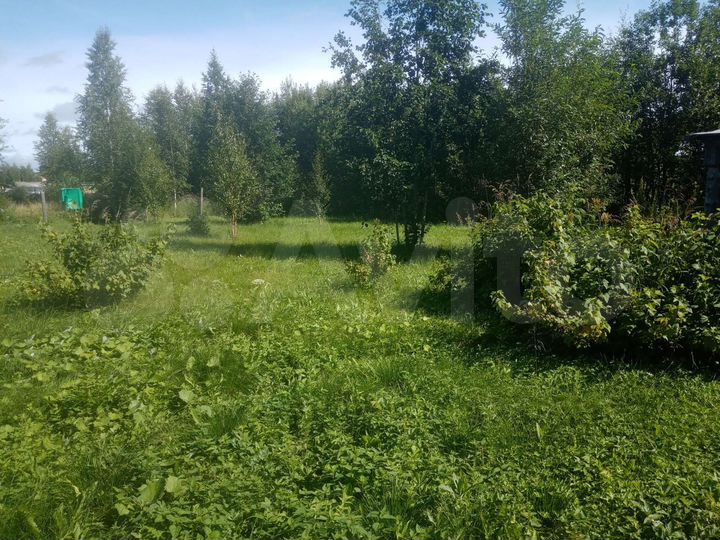 Участок 13 сот. (СНТ, ДНП)