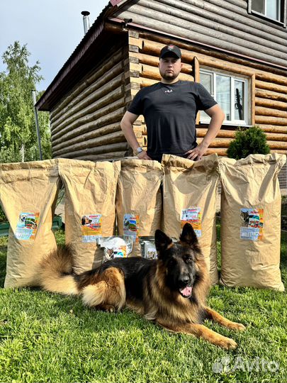 Корм для собак