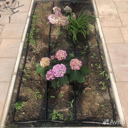 Капельный полив в Волгограде