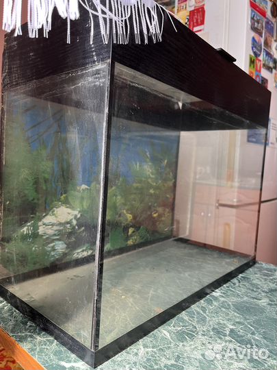 Аквариум