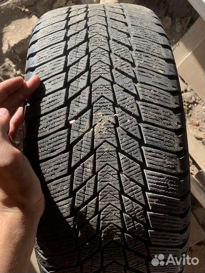 Nexen Winguard Ice Plus 195/50 R15