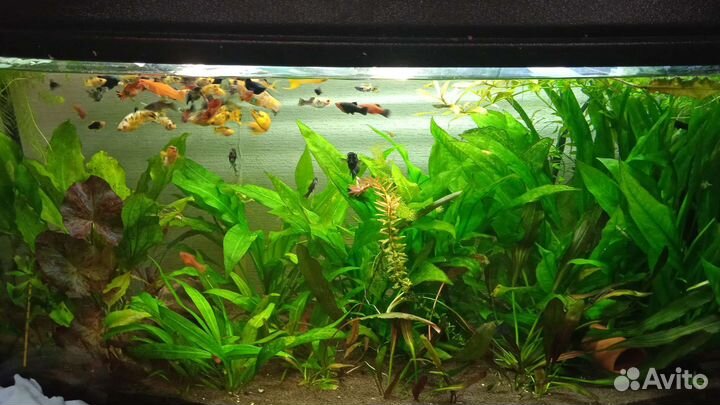 Украшение для аквариума