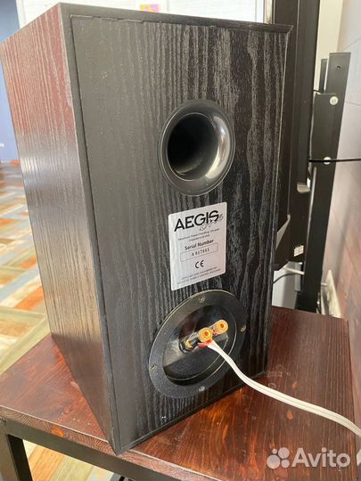 Acoustic energy aegis EVO one / Center