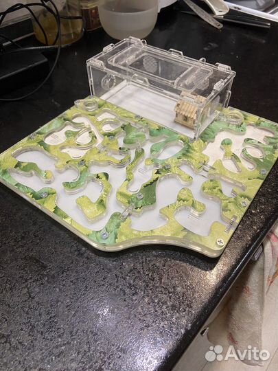 Формикарий без муравьев