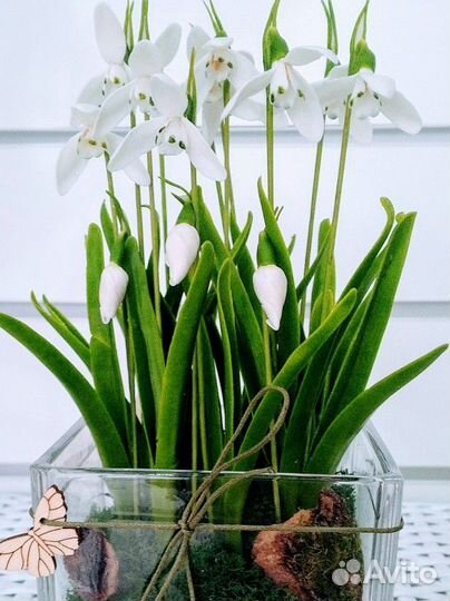 Композиция с подснежниками. Холодный фарфор