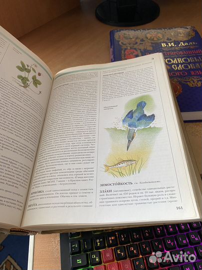 Энциклопедия по биологии