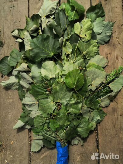 Веники для бани