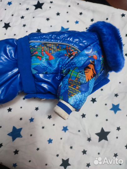 Одежда для собак мелких пород