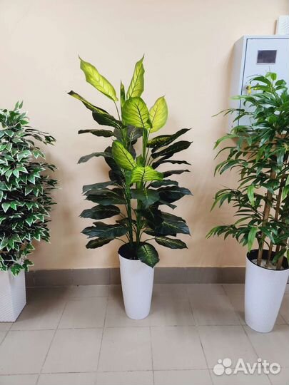 Диффенбахия цветок искусственный домой кафе офис