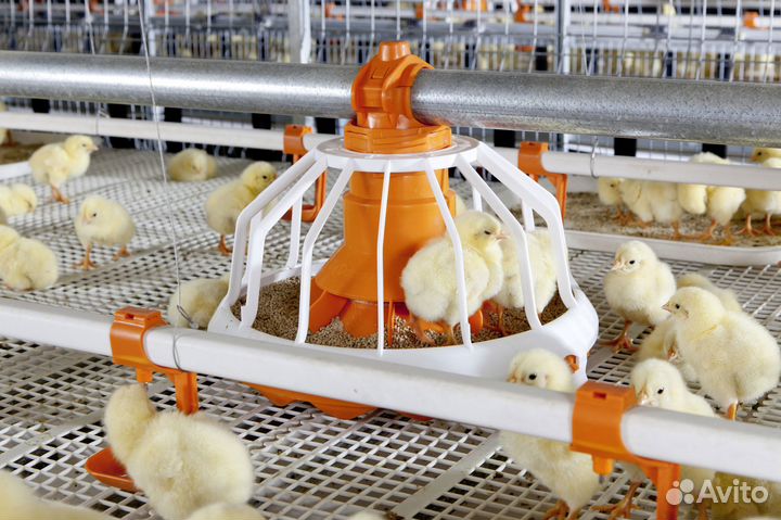 Вахта 35/45 Жилье Питание Разнорабочий