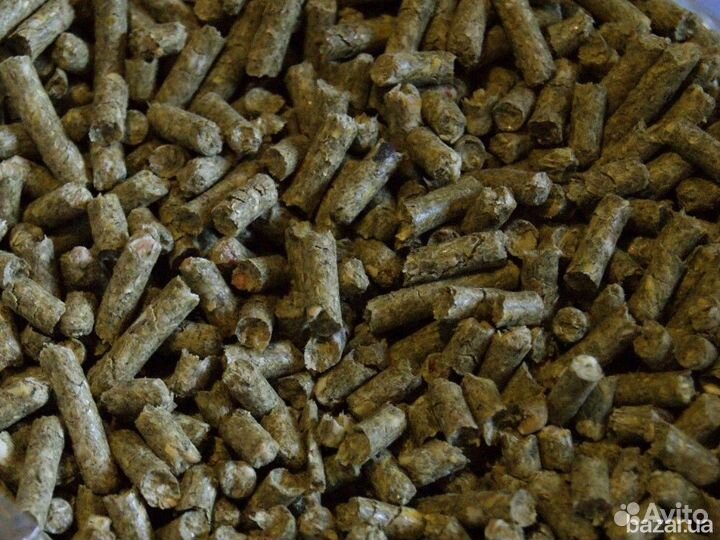 Прикормка для рыбалки