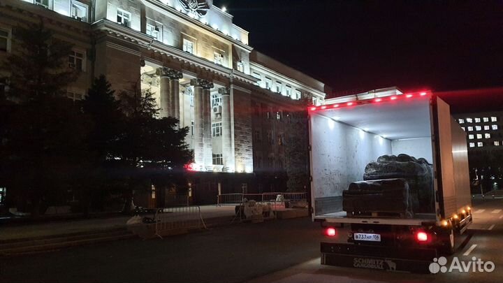 Рулонный, посевной газон