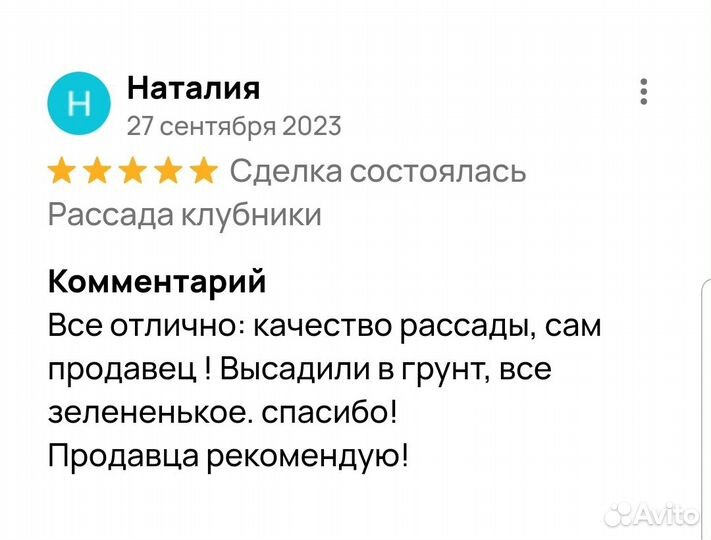 Клубника / земляника садовая