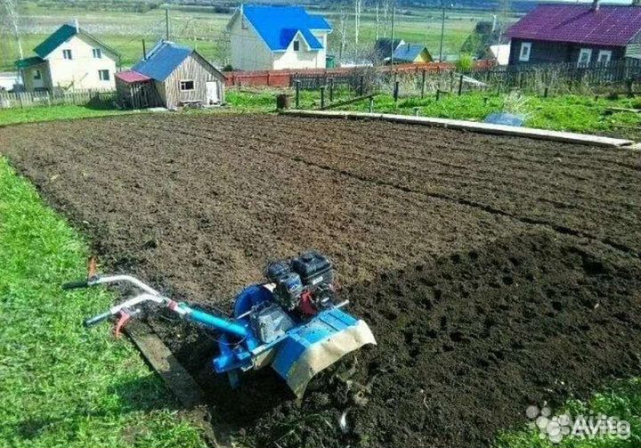 Спил деревьев