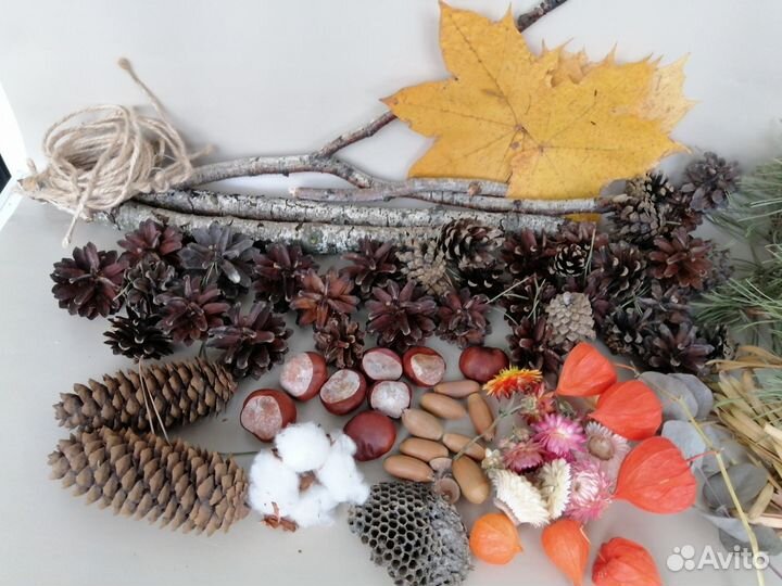 Природный материал на поделки в школу сад