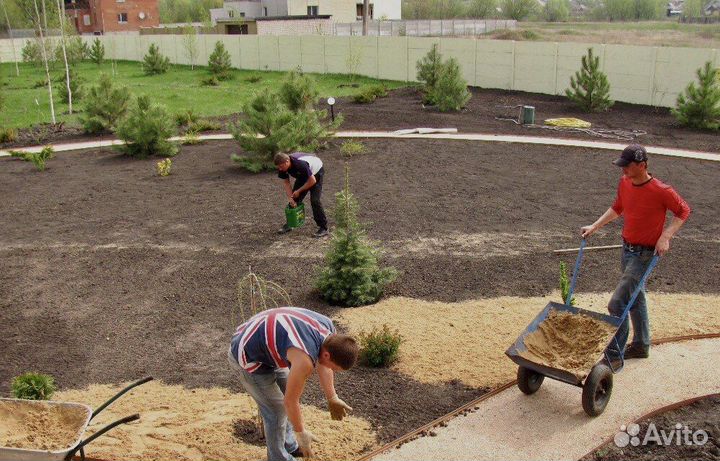 Земля под газон - просеянная (Всхожесть 100 )