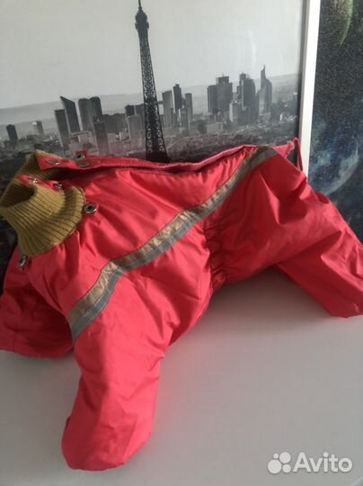 Комбинезон для собаки