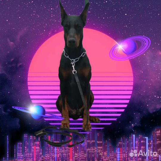 Общение с добрым Доберманом