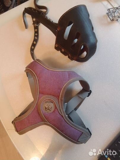 Ошейник для собак