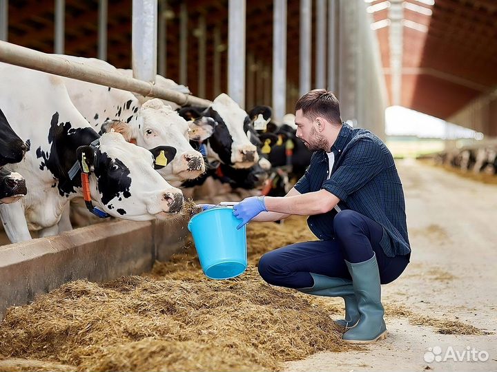 Работа скотник. Вахта Краснодарского края