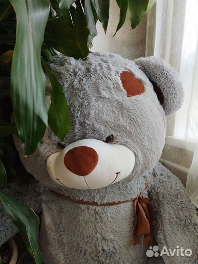 Большие плюшевые медведи