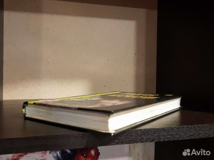 Книга Черняк В.Л. 