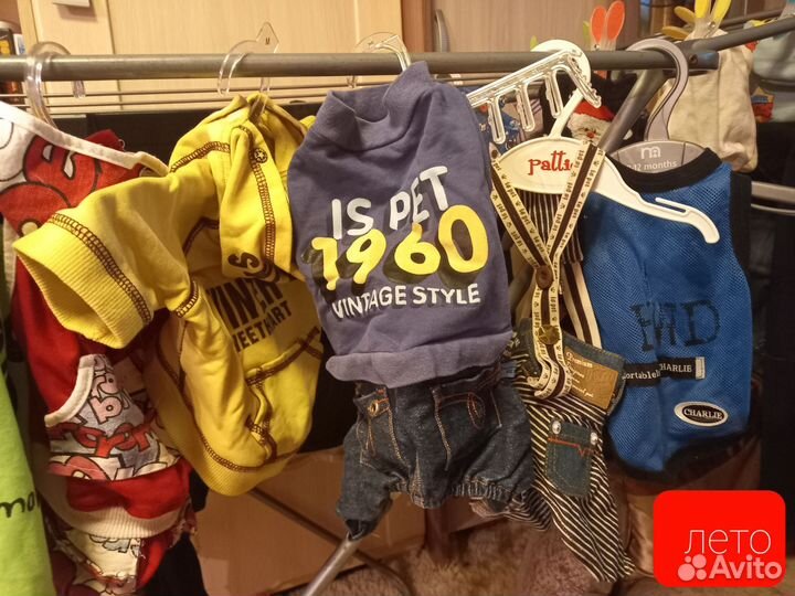 Одежда для собак мелких пород