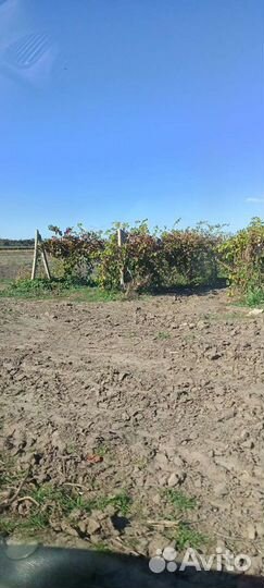 Продам земельный участок