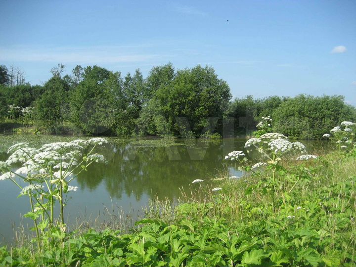 Участок 4,12 га (СНТ, ДНП)