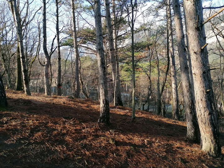 Участок 6,1 сот. (ИЖС)