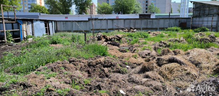 Навоз бесплатно