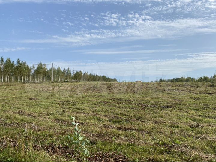 Участок 12 сот. (СНТ, ДНП)