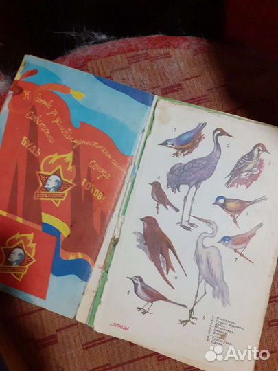 Книга Товарищ 82 Спутник пионера