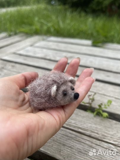 Ежик, еж маленький