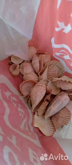 Комплектующие для аквариума