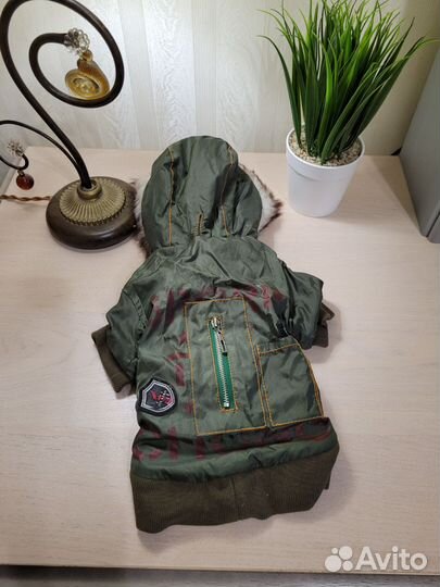 Одежда для маленьких собак