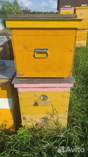 Ульи для пчел