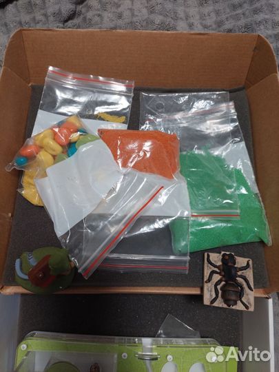 Муравьиная ферма