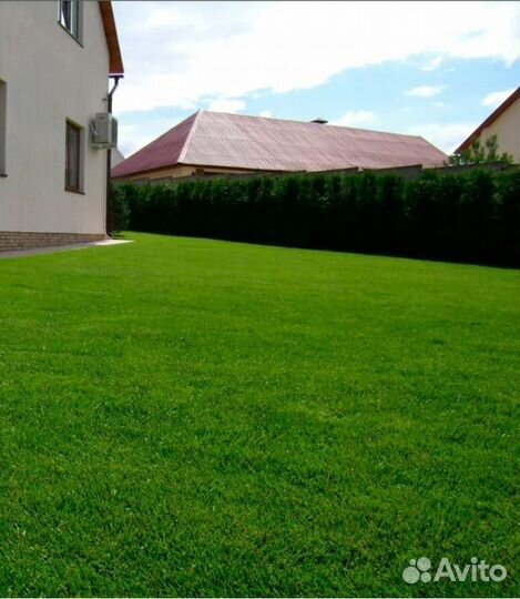 Газон под ключ