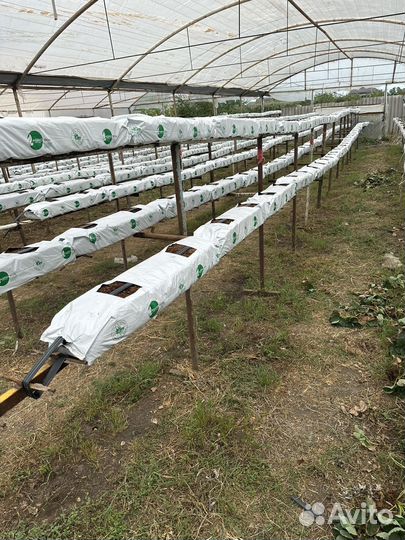 Какосовый субстрат