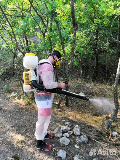 Уничтожение клопов, тараканов, крыс, кротов, ос